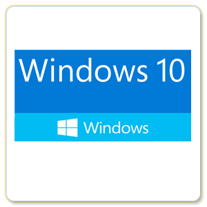 Microsoft Windows 10 Play Bilgisayar
