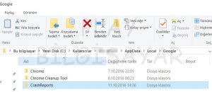 Google Chrome Hay Aksi Sorunu Çözümü