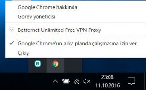 Google Chrome Hay Aksi Sorunu Çözümü